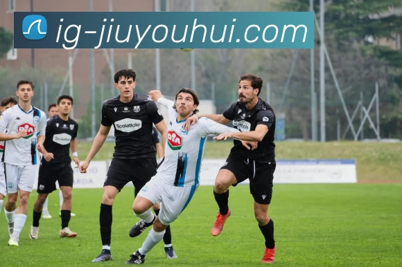 J9九游会官网平台生态图